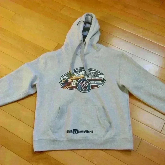 Disney Parks Hoodie US M - Picture 1 of 7
